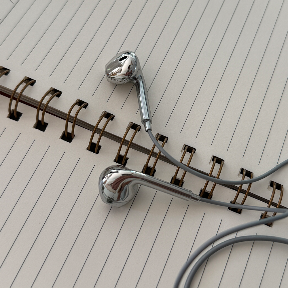 Chrome Premium Earbuds (C-Type)